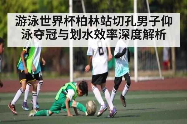 游泳世界杯柏林站切孔男子仰泳夺冠与划水效率深度解析